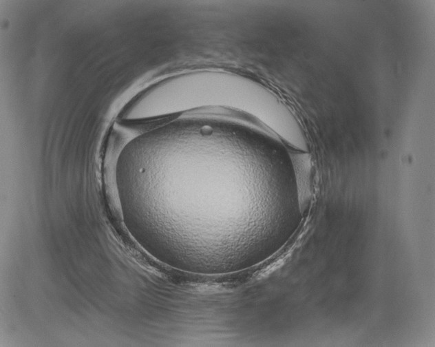 X0000083580246200702231702