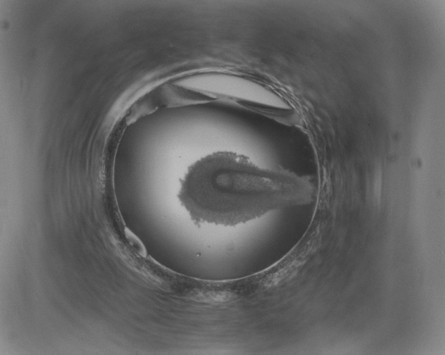 X0000083580247200702231702