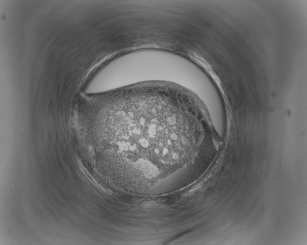 X0000083580249200702231702