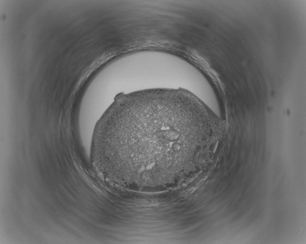 X0000083580250200702231702