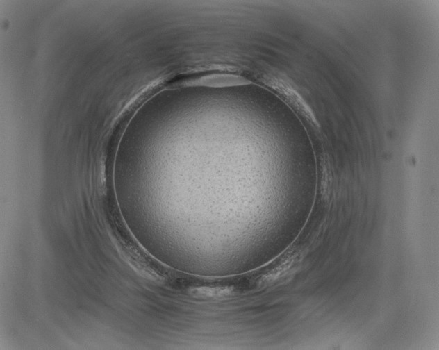 X0000083580251200702231702