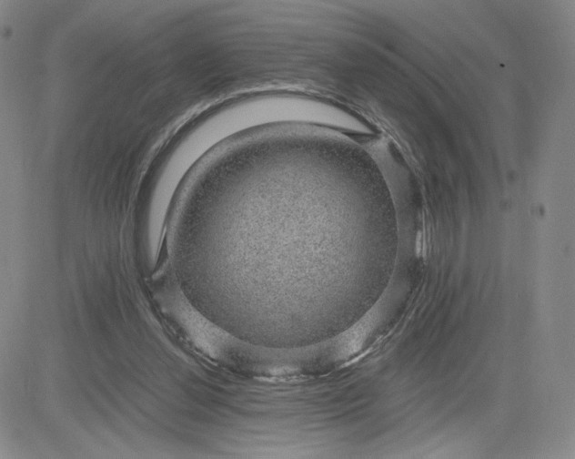 X0000083580252200702231702