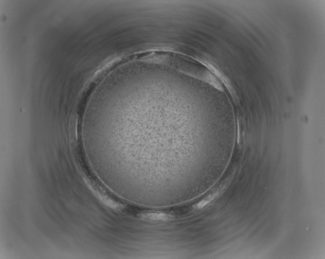 X0000083580253200702231702