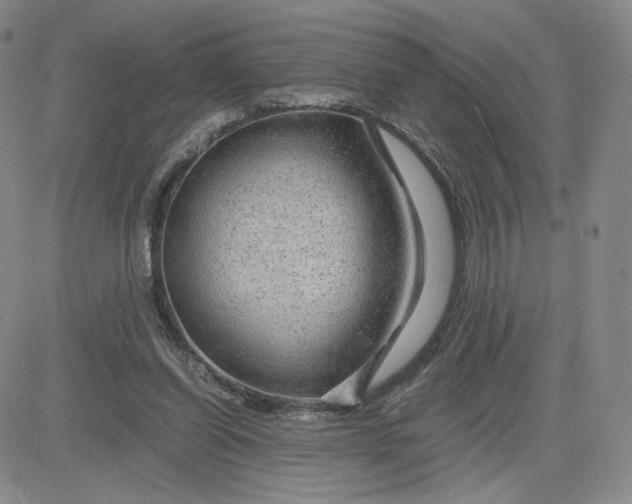 X0000083580254200702231702