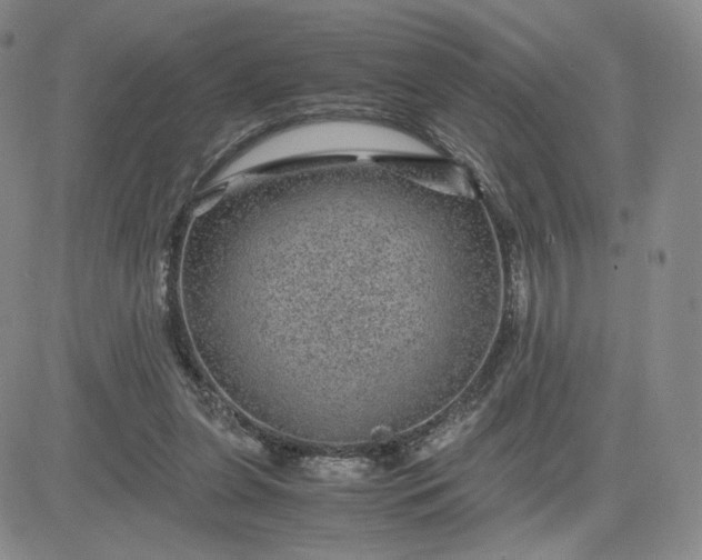 X0000083580255200702231702