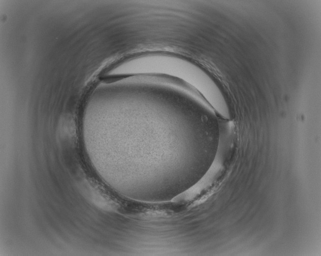 X0000083580256200702231702