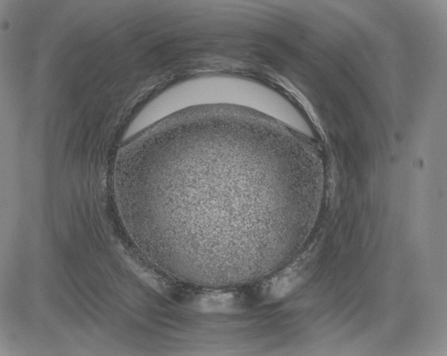 X0000083580257200702231702