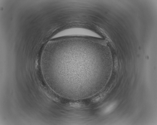 X0000083580259200702231702