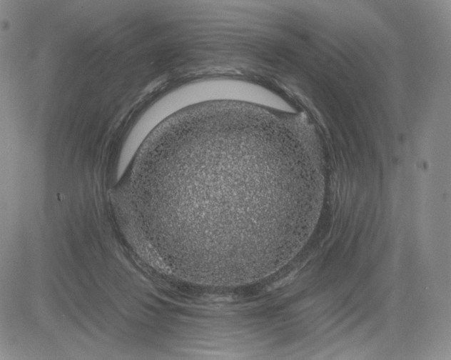 X0000083580260200702231702