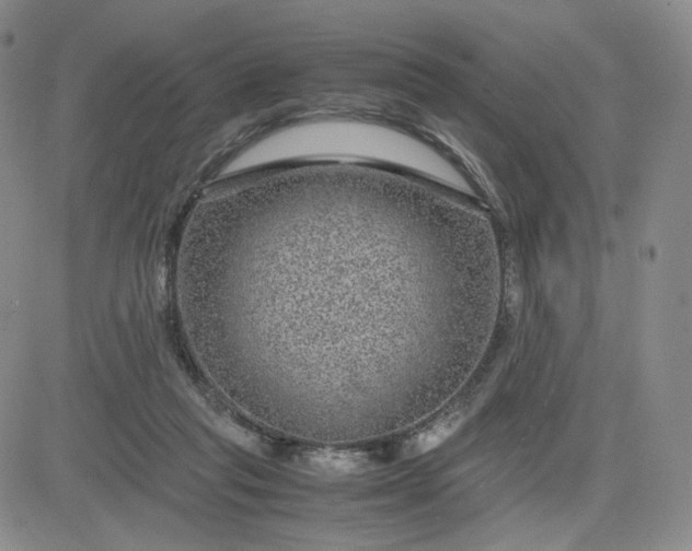 X0000083580261200702231702