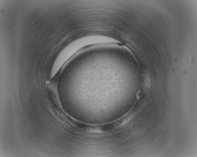 X0000083580262200702231703