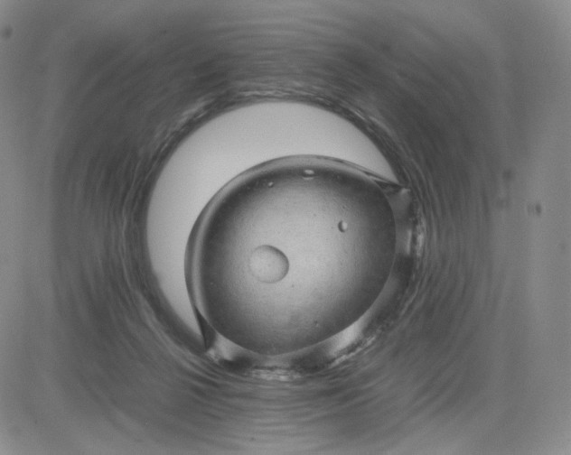 X0000083580264200702231703