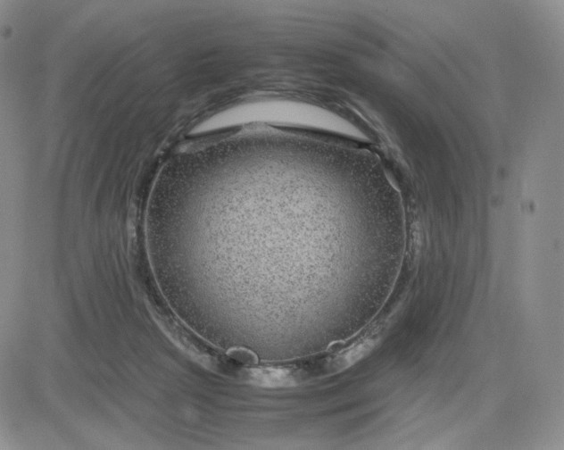 X0000083580265200702231703