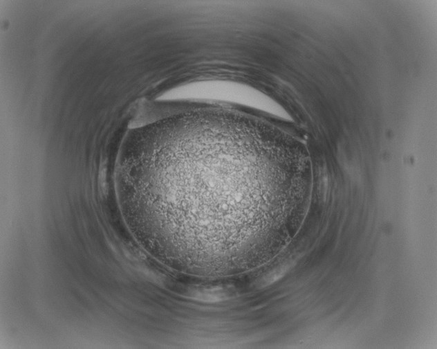 X0000083580267200702231703