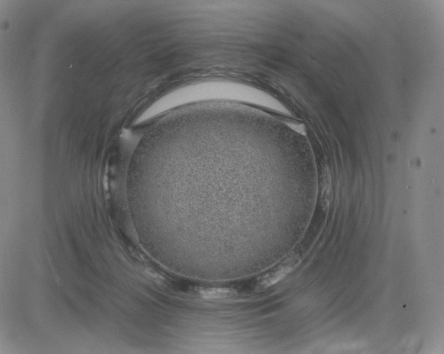 X0000083580268200702231703