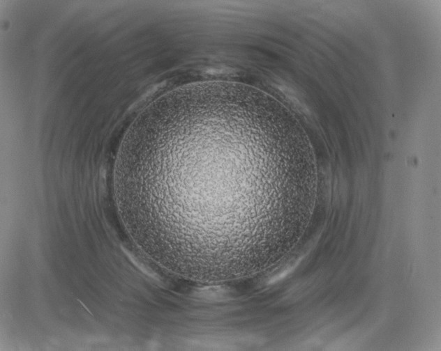 X0000083580269200702231703