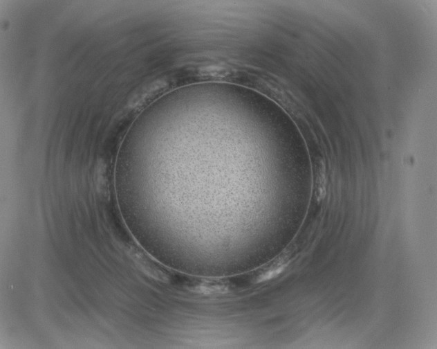 X0000083580270200702231703