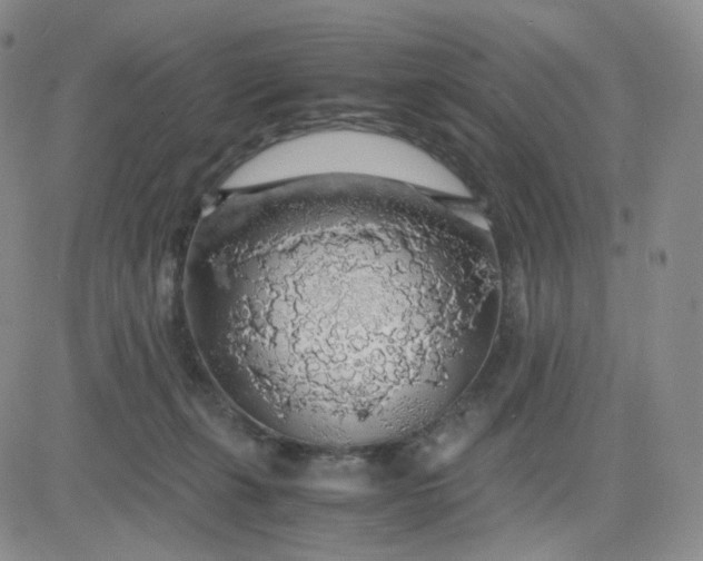 X0000083580271200702231703