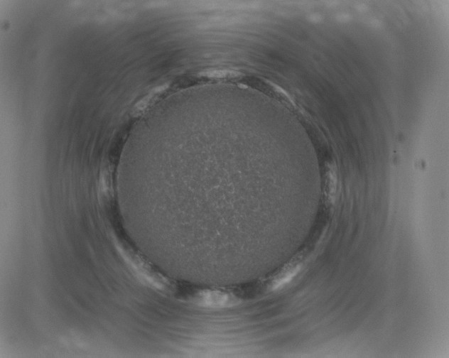 X0000083580272200702231703