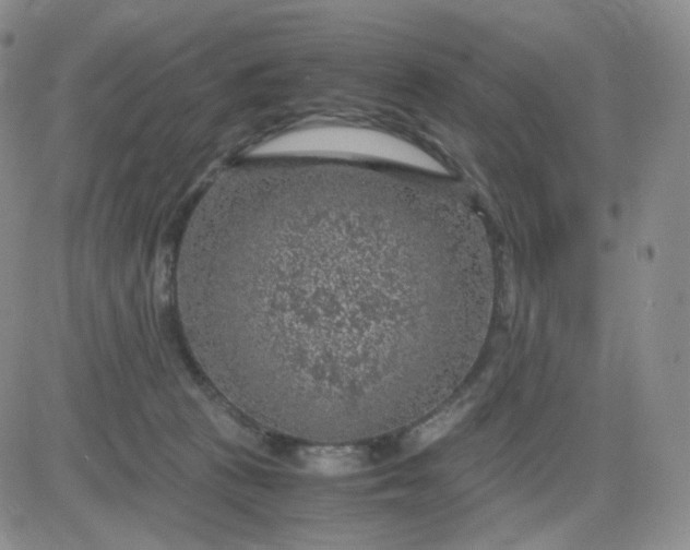 X0000083580273200702231703