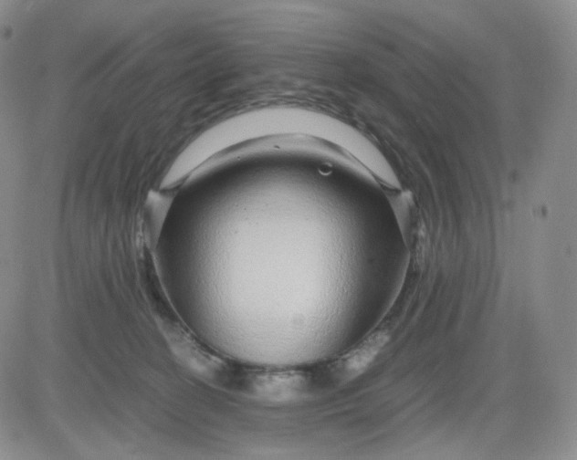 X0000083580274200702231703