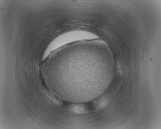 X0000083580275200702231703