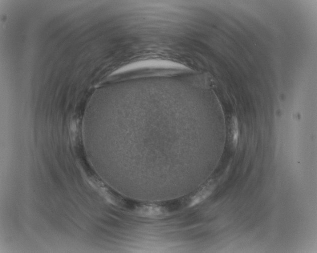 X0000083580276200702231703