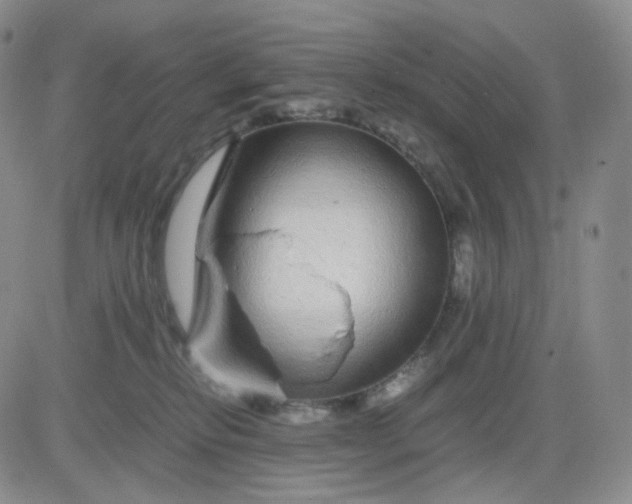 X0000083580278200702231703