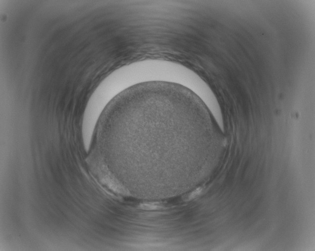 X0000083580280200702231703