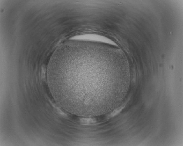 X0000083580281200702231703