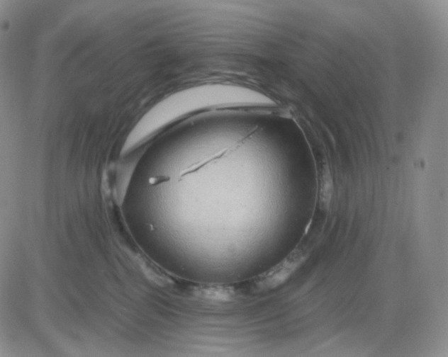 X0000083580282200702231703