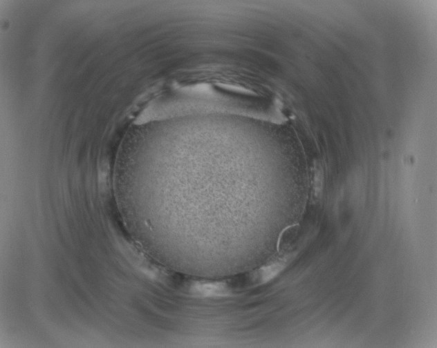 X0000083580283200702231703