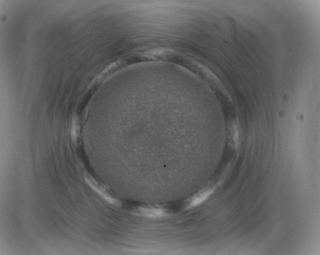 X0000083580284200702231703