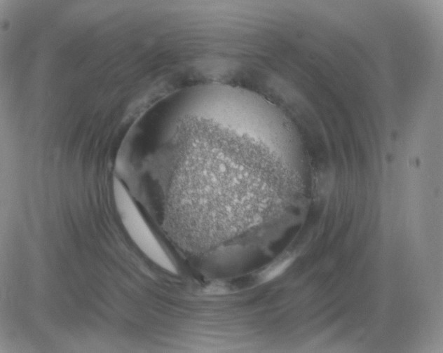 X0000083580286200702231703