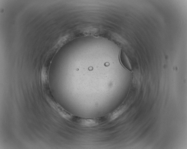 X0000083580287200702231703