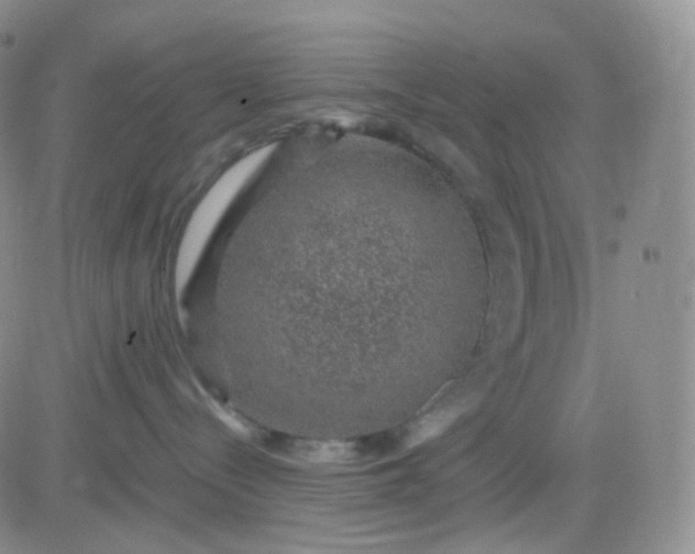 X0000083580288200702231703