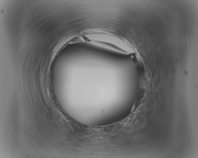 X0000083580289200702231702