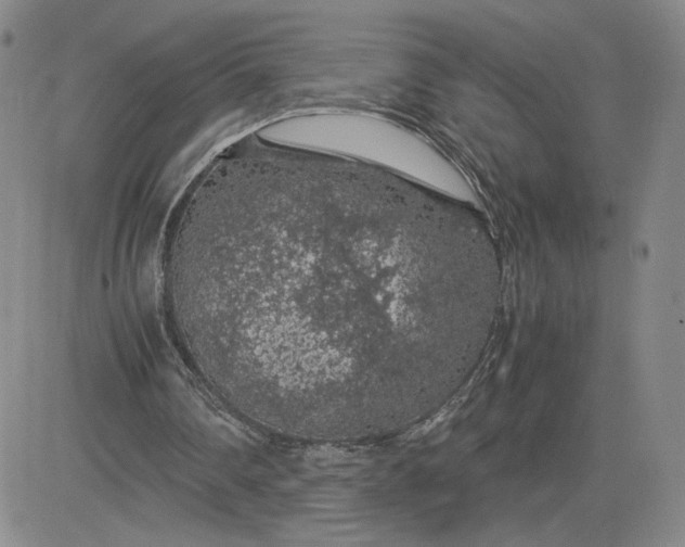 X0000083580290200702231702