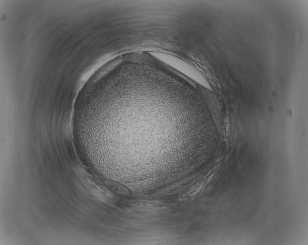 X0000083580292200702231702