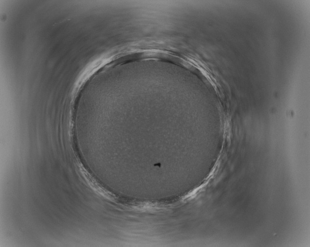 X0000083580293200702231702