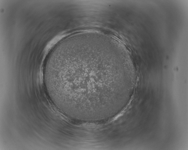 X0000083580294200702231702