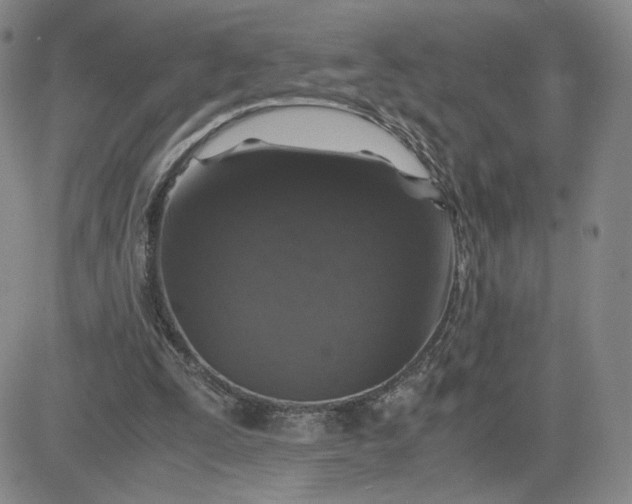 X0000083580295200702231702