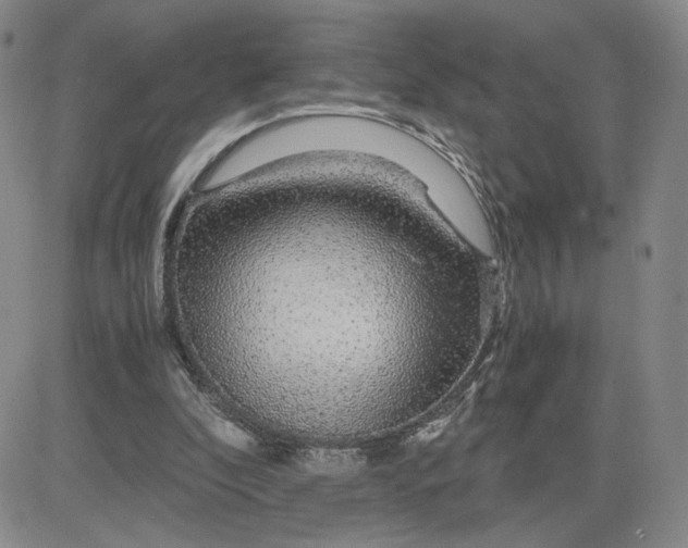 X0000083580296200702231702