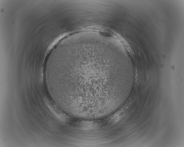 X0000083580298200702231702