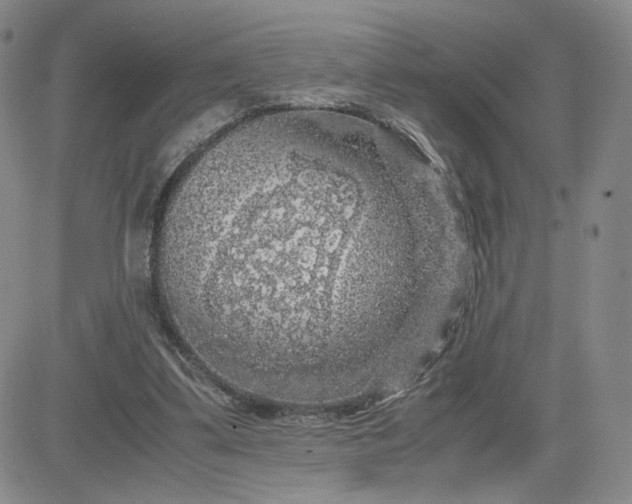 X0000083580299200702231702