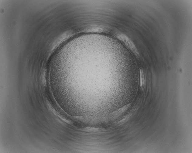 X0000083580300200702231702