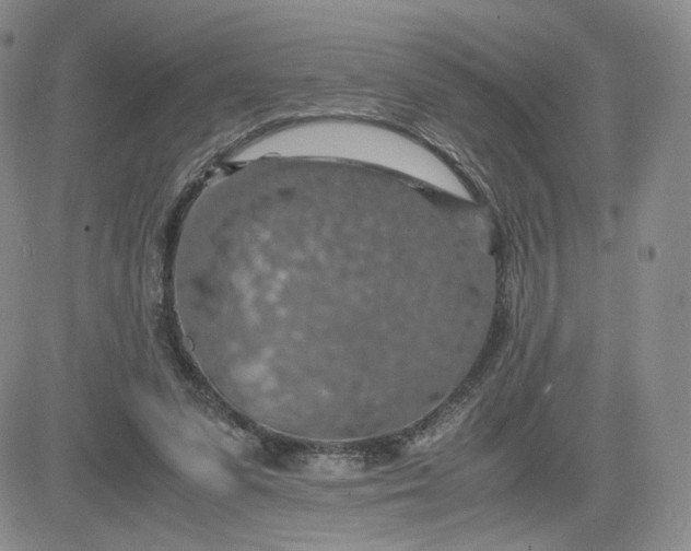 X0000083580303200702231702