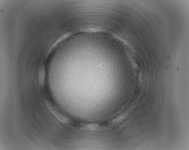 X0000083580304200702231702