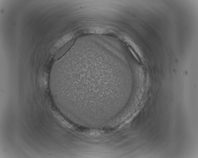 X0000083580305200702231702