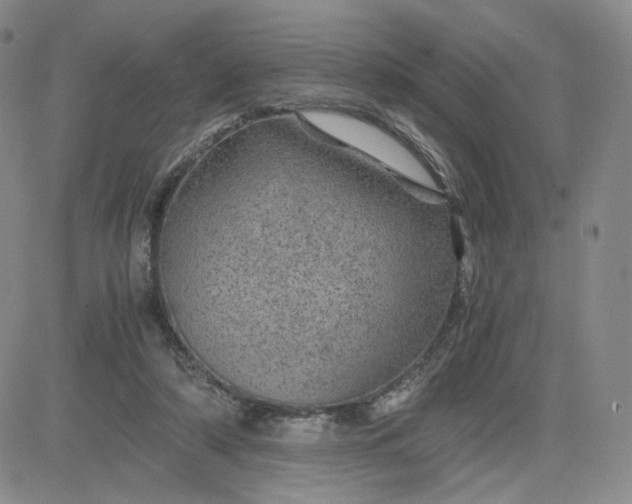 X0000083580306200702231702